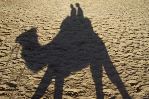 Agadir : Promenade à dos de chameau au coucher du soleil avec dîner