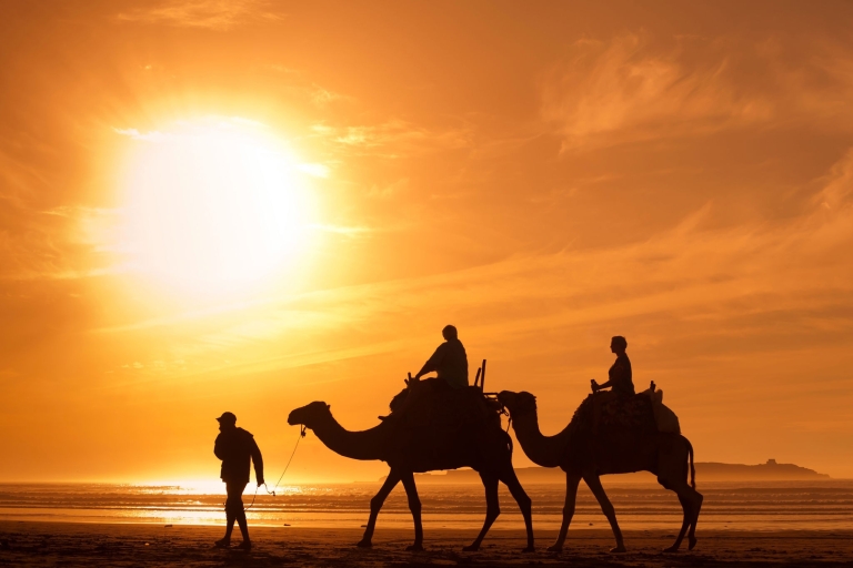 Agadir: kameelrit bij zonsondergang met diner