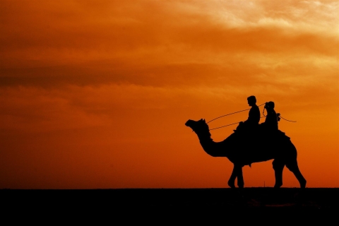 Agadir: kameelrit bij zonsondergang met diner