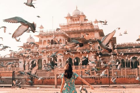 From Delhi: 4-Day Golden Triangle with Ranthambore Safari