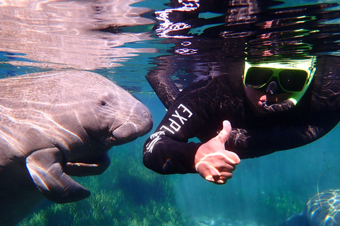 Crystal River: Manatee Swim Group Tour