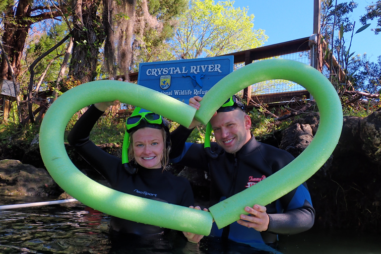 Crystal River: Manatee Swim Group Tour