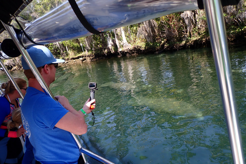 Crystal River: Manatee Swim Group Tour