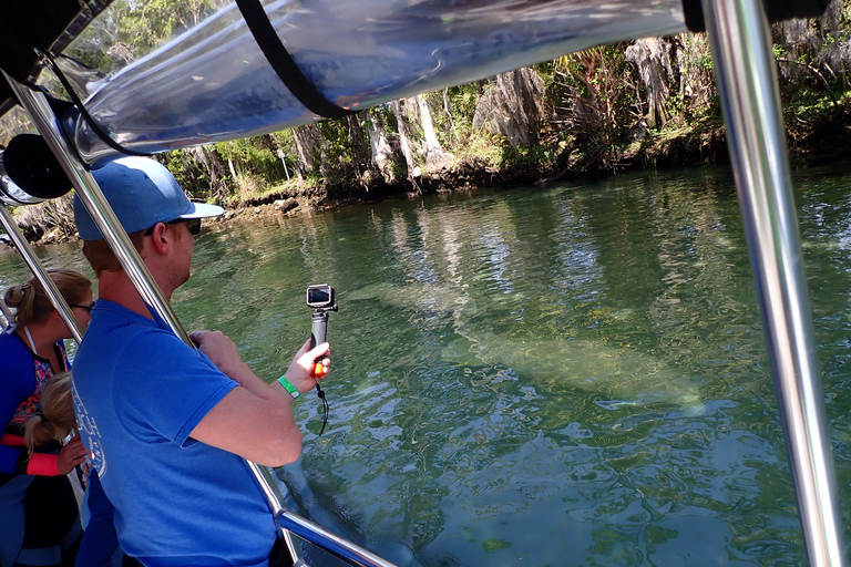 Crystal River: Manatee Swim Group Tour