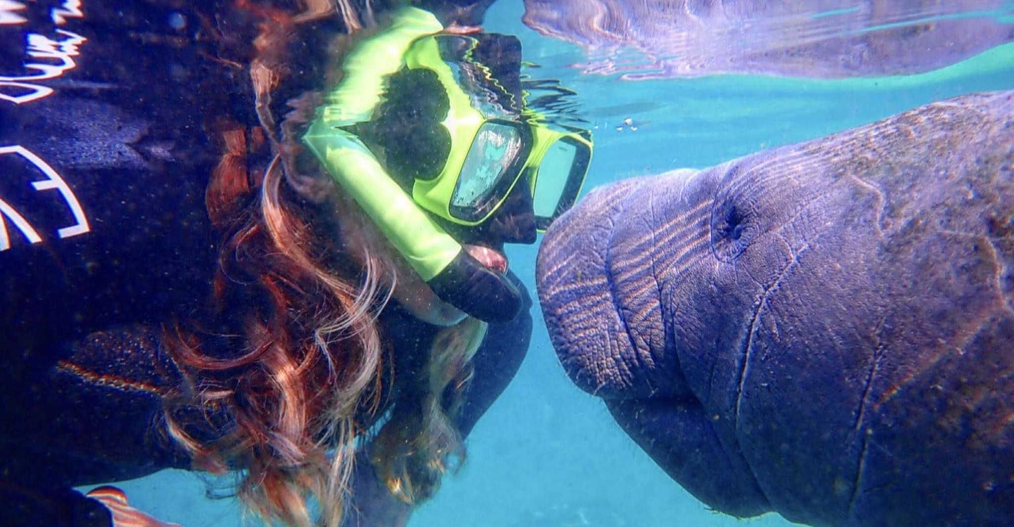 crystal-river-manatee-swim-group-tour-crystal-river-united-states