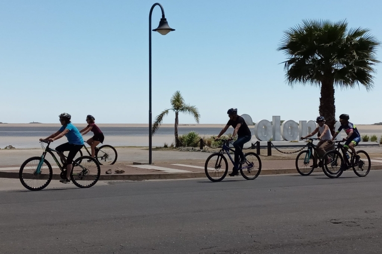 Colonia del Sacramento: Aventura en bicicletaColonia del Sacramento: Excursión de Aventura en Bicicleta