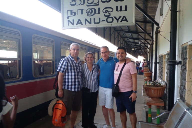 De Nanu Oya a Ella: Un viaje inolvidable por las colinasBillete de entrada - Tren