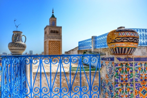 Tunis: Private Full-Day Tunis Highlights Tour Tunis: Private Full-Day Tunisia Highlights Tour