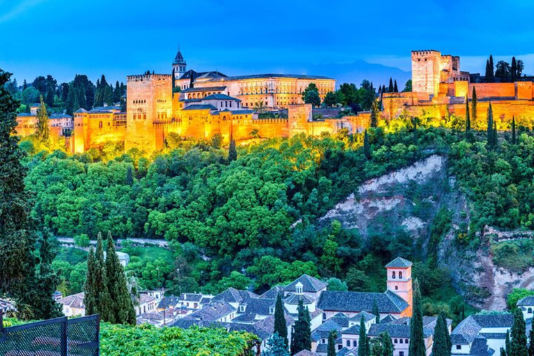 Granada: Private custom tour with a local guide 8 Hours Walking tour