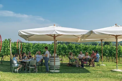 Gardasee: Wein- und Essensverkostungen in den Weinbergen