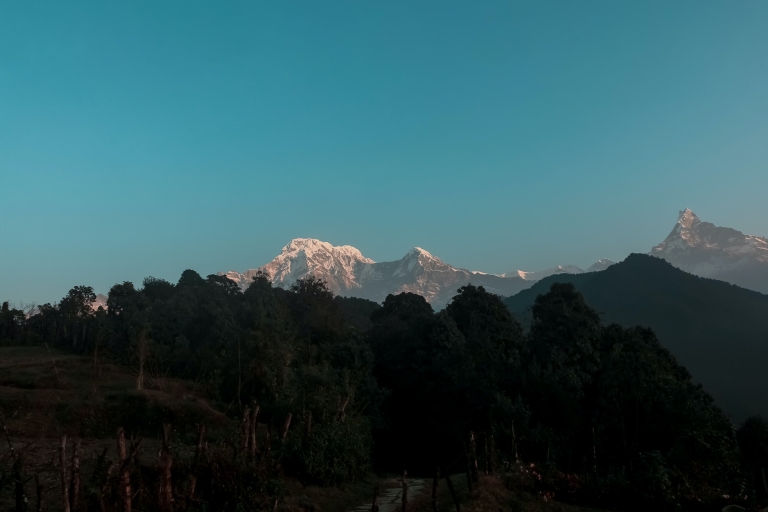 Pokhara: 2-dniowa wycieczka do australijskiego obozu i DhampusPokhara: Jednodniowa wędrówka po australijskim obozie