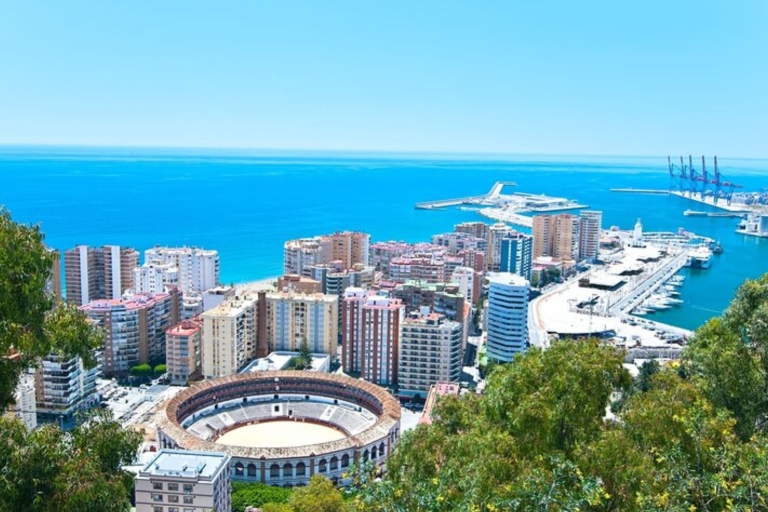Malaga: Private custom tour with a local guide 6 Hours Walking Tour