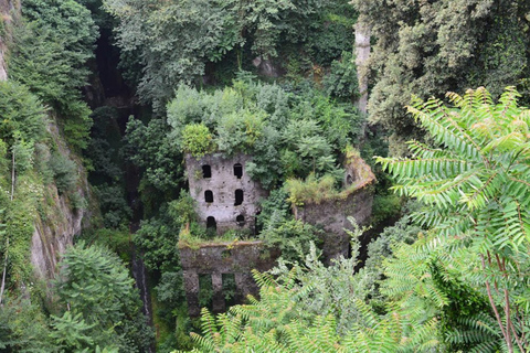 Sorrento: Excursão a pé guiada e degustação de Limoncello