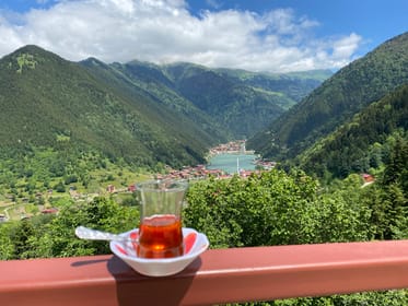 Trabzon, Uzungöl Private Tour & Explore The Nature & Tea - Housity