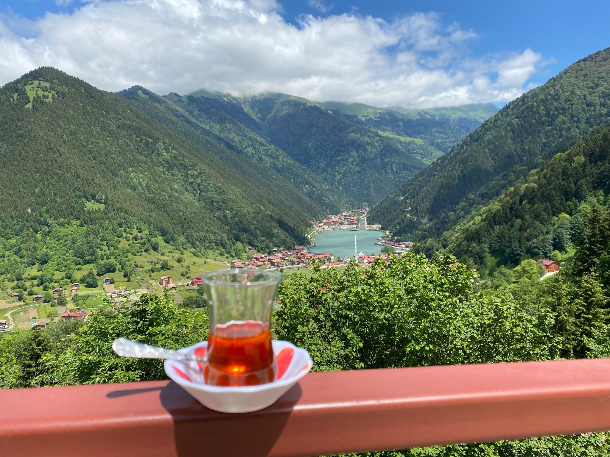 Trabzon: Uzungöl Group Tour, Entdecke die Natur und probiere Tee