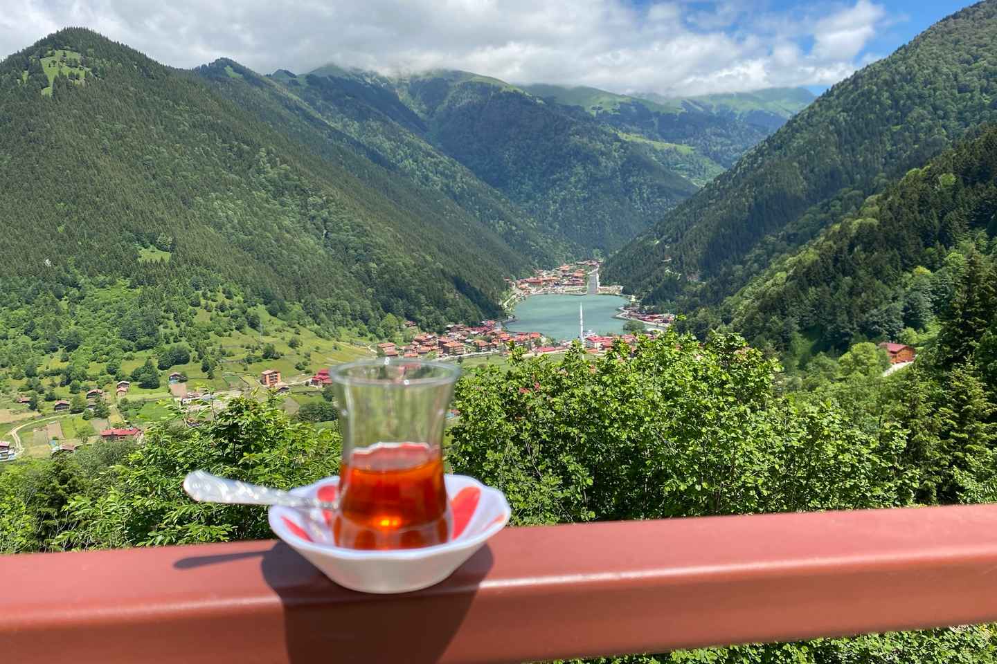 特拉布宗乌宗湖团游：自然探秘与茶香品味