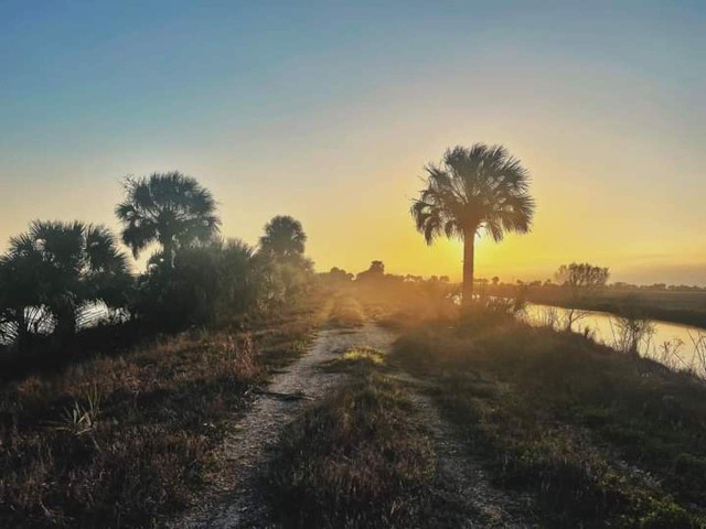Visit Guided Backpacking Hike Through Florida's Wild Backcountry. in Stuart, Florida