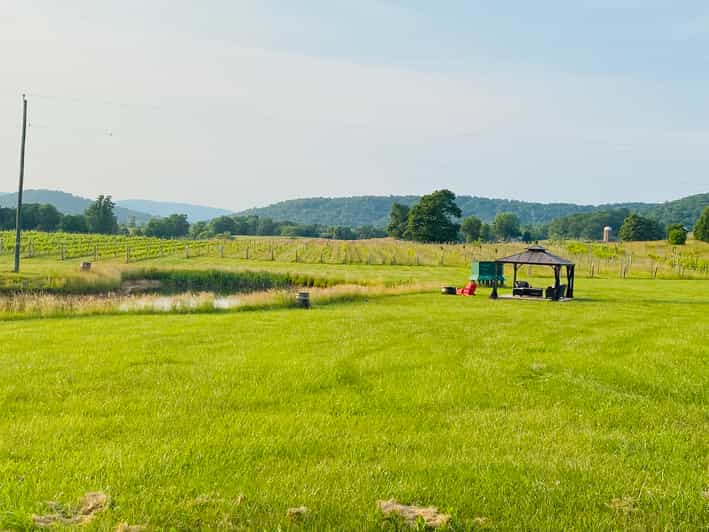 Washington, DC Virginia Wine Region Experience Tour GetYourGuide