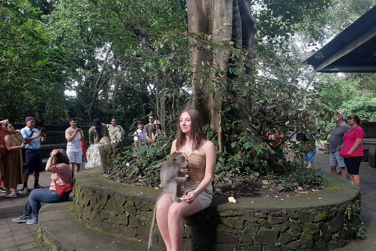 Ubud: Foresta di scimmie, terrazze di riso e cascateUbud: Foresta di scimmie, terrazza di riso e cascata