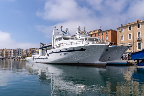 Boat walk in Sete on the singular island 1 hour