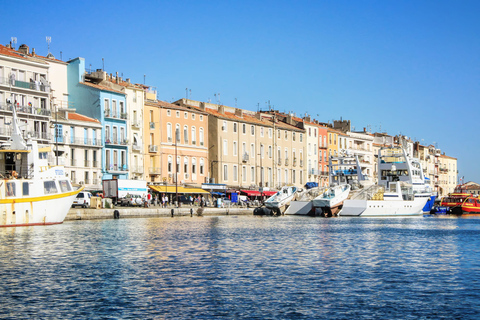 Balade en bateau à Sete sur l'ile singulière 1h