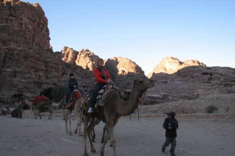 Wadi Rum: Breve experiencia en camelloWadi Rum: Experiencia de 2 horas en camello normal