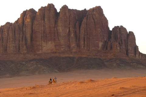 Wadi Rum : Petite balade à dos de chameauWadi Rum : 2 heures de promenade à dos de chameau
