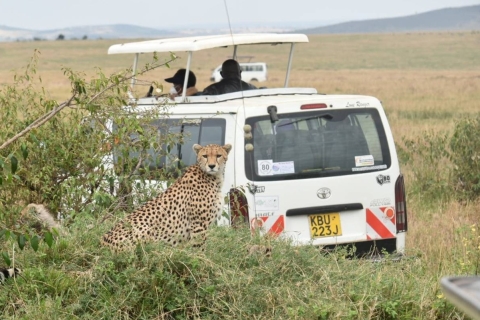 2 jours et 1 nuit safari au Masai Mara