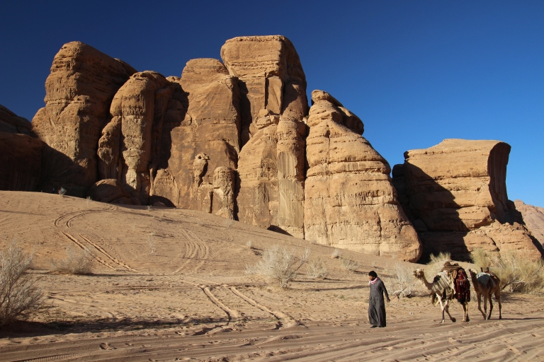 Wadi Rum: krótka przejażdżka na wielbłądzieWadi Rum: 2-godzinna normalna przejażdżka na wielbłądzie