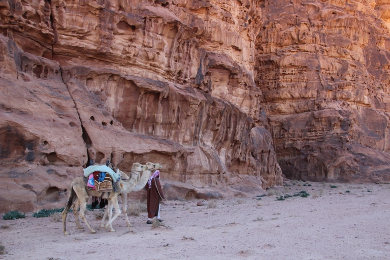 Wadi Rum: Breve experiencia en camelloWadi Rum: Experiencia de 2 horas en camello al atardecer