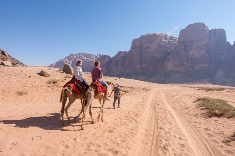 Wadi Rum : Petite balade à dos de chameauWadi Rum : 2 heures de promenade à dos de chameau au coucher du soleil