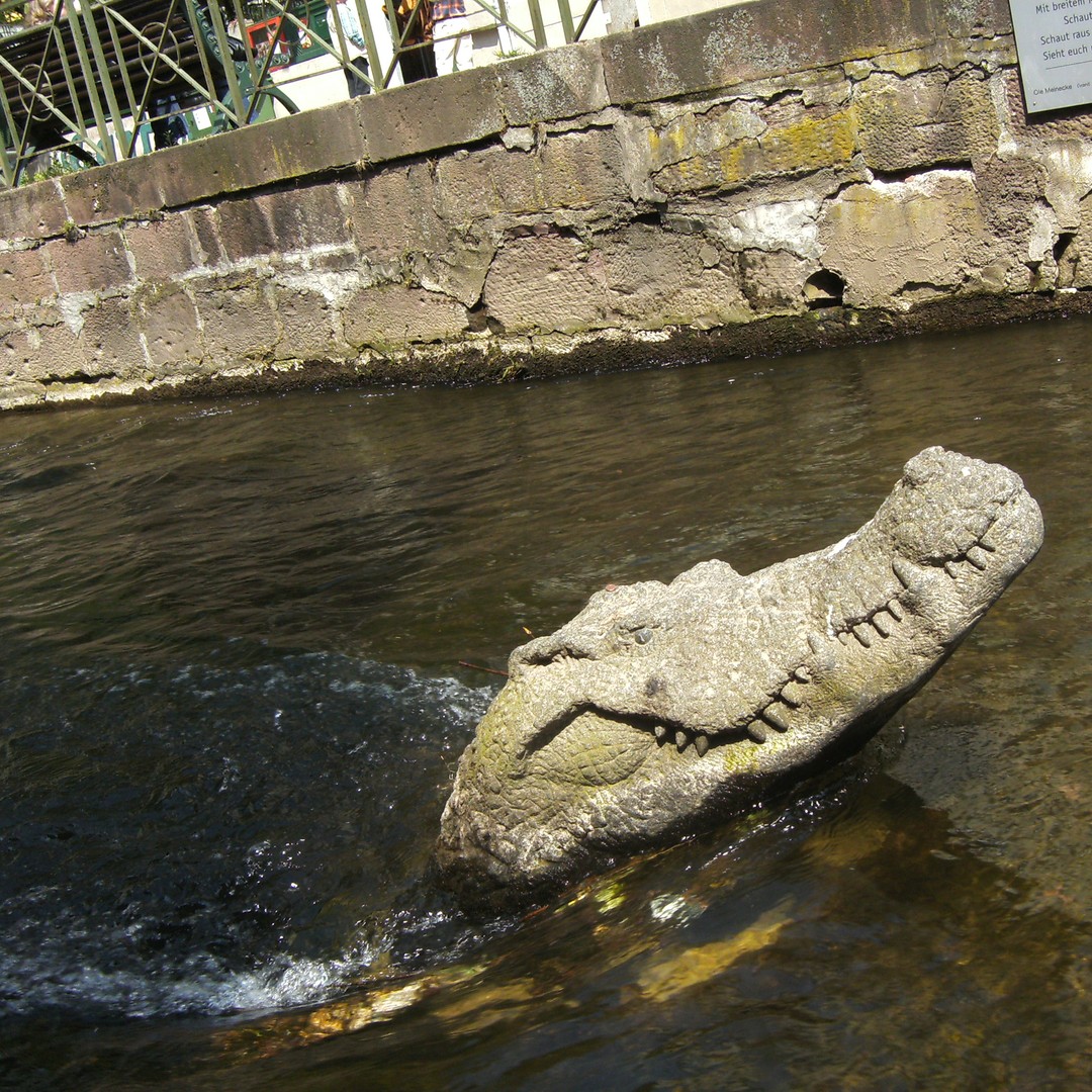 メディア コラージュ