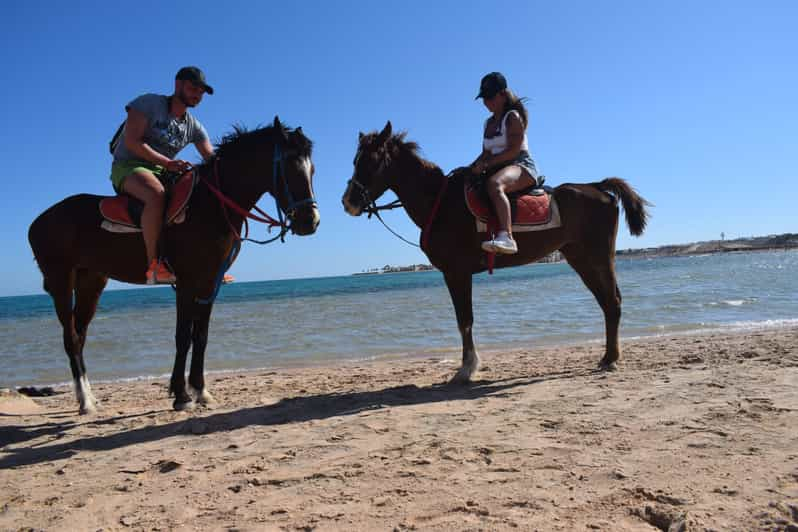 Sharm el-Sheikh: Horse Ride Adventure Tour on the Beach | GetYourGuide