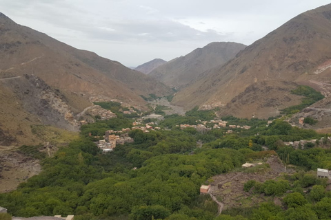 Atlas Mountains and Berber Villages Day Trip from Marrakech