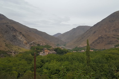 Atlas Mountains and Berber Villages Day Trip from Marrakech