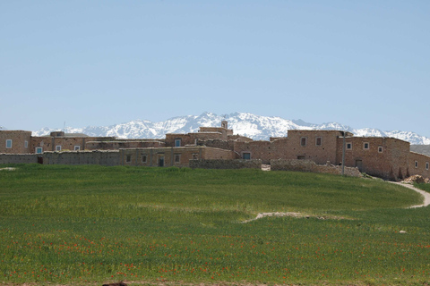 Atlas Mountains and Berber Villages Day Trip from Marrakech