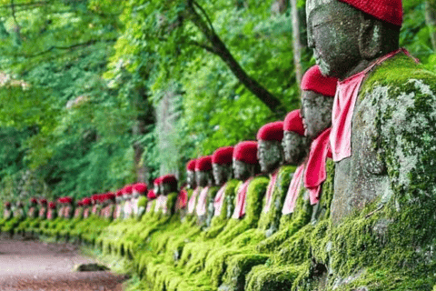 Da Tokyo, escursione privata di un giorno al lago Chuzenji e alle cascate di Kegan di Nikko