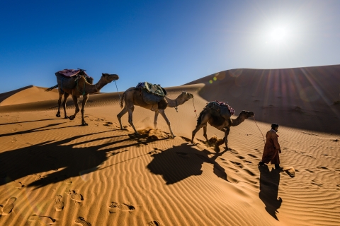 Circuit de 3 jours dans le désert de Fès à Marrakech via Merzouga et nourriture