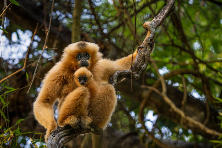 Dalat to Cat Tien National Park, drop-off Ho Chi Minh Private tour by Car