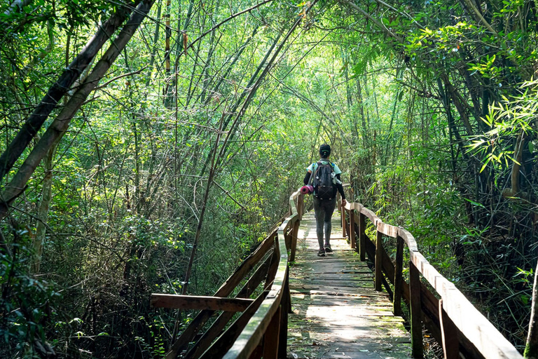 Dalat ao Parque Nacional Cat Tien, desembarque em Ho Chi MinhTour privado de carro