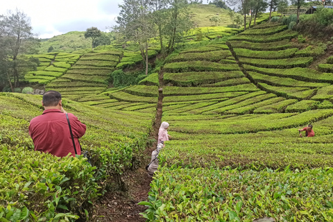 Vulcano, sorgenti calde, bagni di fango e tour del tè: tutto inclusoGiro aperto