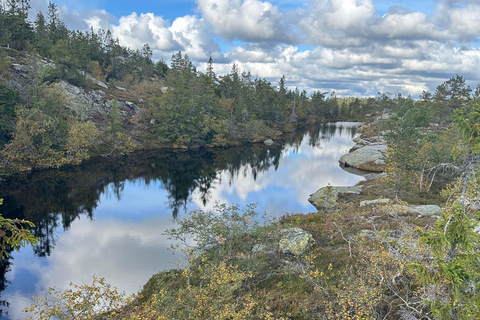 南挪威海岸之旅：峡湾、堡垒和世界尽头挪威南部海岸之旅：峡湾、堡垒和世界尽头