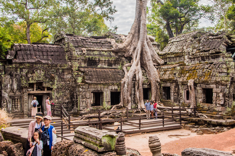 Angkor Wat: Small Circuit Tour by Only TukTukPrivate One-Day : Small Circuit Tour With Sunset By TukTuk