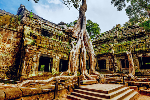 Angkor Wat: Small Circuit Tour by Only TukTukPrivate One-Day : Small Circuit Tour With Sunset By TukTuk