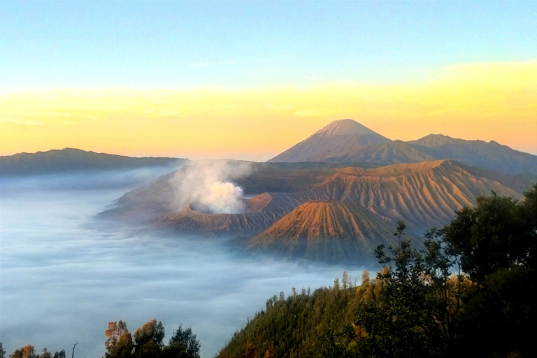 Bromo mountain and Ijen crater tour in 3 day