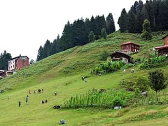 Rize: Ayder Tour & Kaçkar Mountaıns & Fırtına Valley