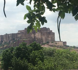 Jodhpur image