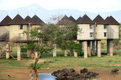 3 jours de safari à Saltlick lodge depuis Nairobi