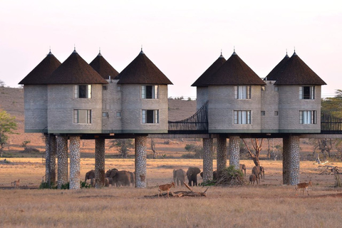 3 jours de safari à Saltlick lodge depuis Nairobi