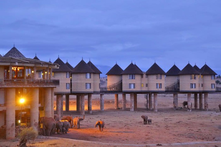 3 jours de safari à Saltlick lodge depuis Nairobi